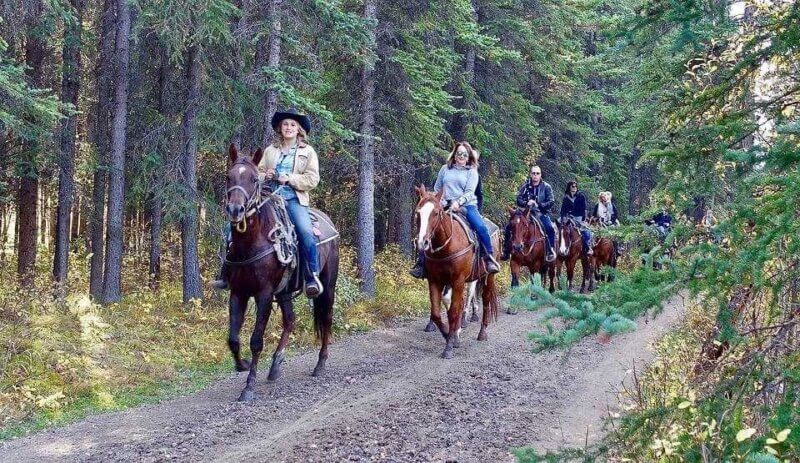 The persons riding horse ride in forest at Black Hawk , CO