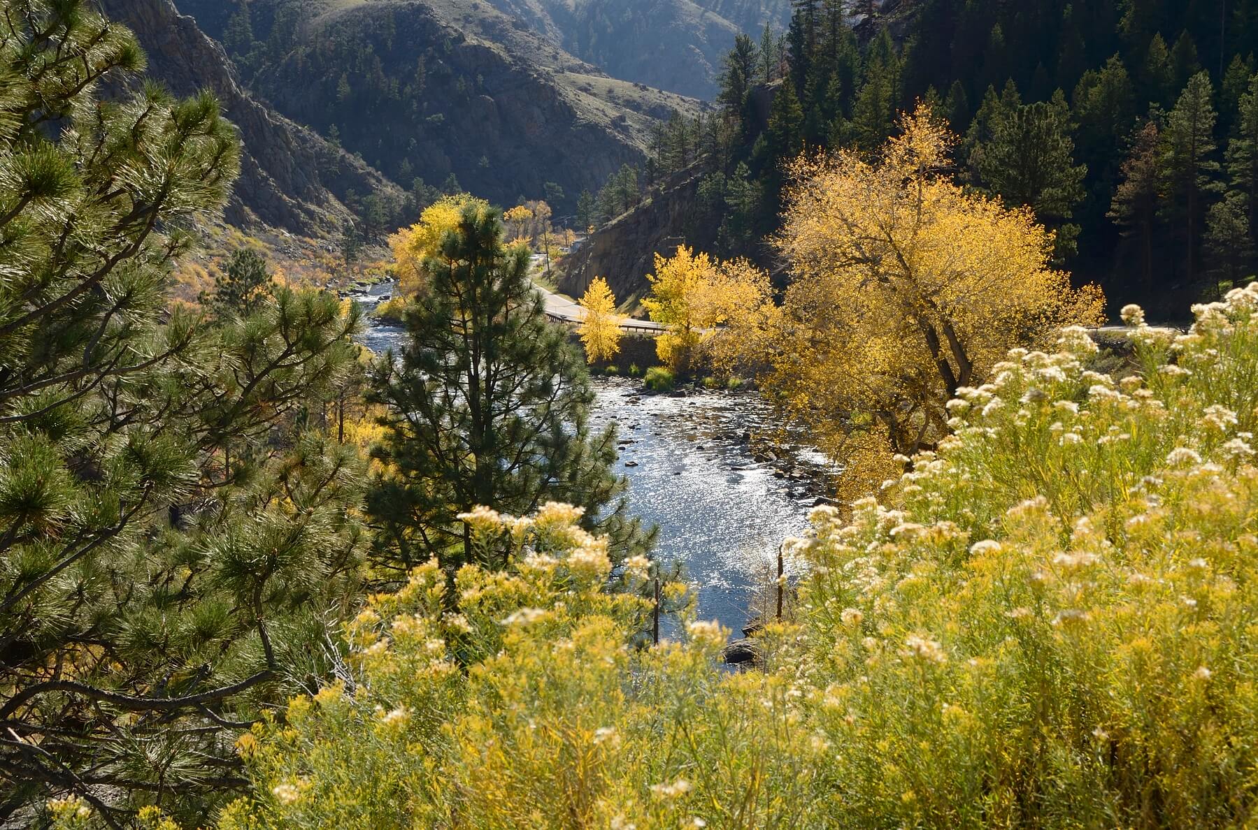 Where to See Fall Colors in Colorado | blog